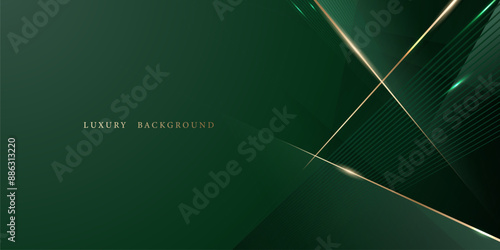 green abstract background design with elegant golden elements vector illustration