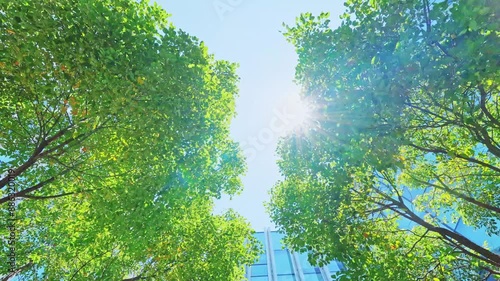 modern office building in the city