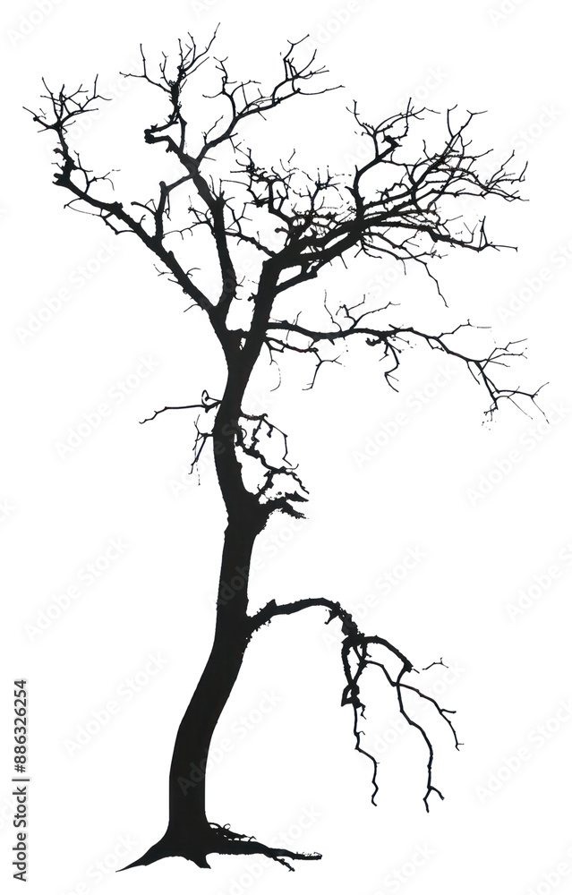 Obraz premium PNG Dead tree silhouette clip art drawing sketch plant.
