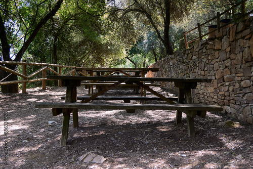 Wooden benches. Snack area with several wooden benches in a natural park