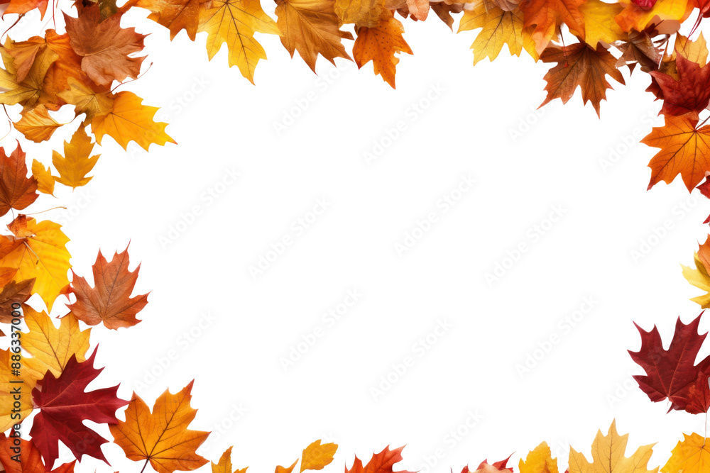 PNG Fall leaves frame backgrounds maple plant. PNG Fall leaves frame backgrounds maple plant.