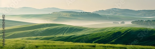 Rolling Green Hills in Morning Mist