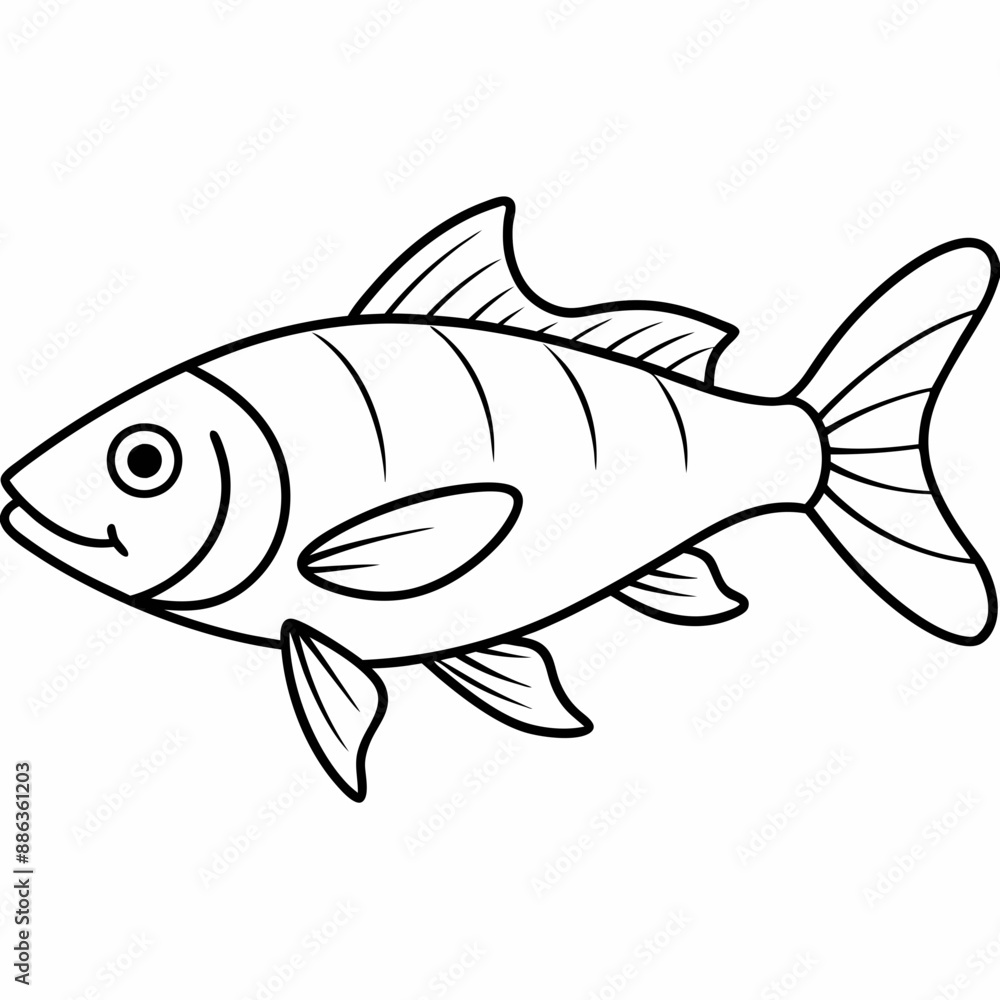 fish isolated on white background fish isolated on white background