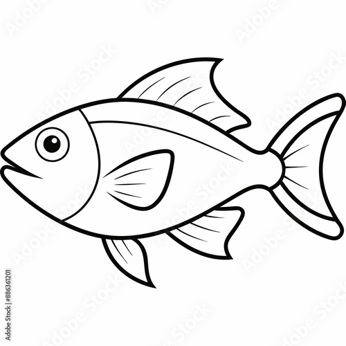 illustration of a fish