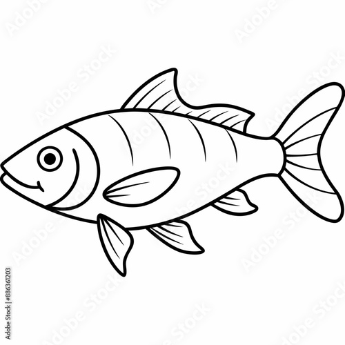 fish isolated on white background