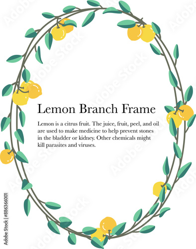 lemon branch crown wiggle to oval frame isolate on white background