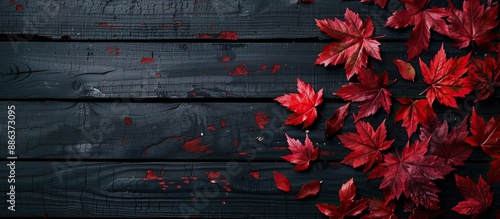 Autumn themed with red maple leaves on a dark wooden backdrop creating a striking image with copy space available
