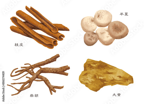 Quadro su tela 漢方薬　生薬　4種類(桂皮 半夏　柴胡　大黄）