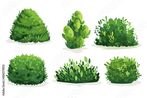 Set of decorative vector bush illustrations on a white background. Green flat bushes on white background. Green grass vector set. Shrub bush shrubbery tree simple abstract. Eco element, foliage