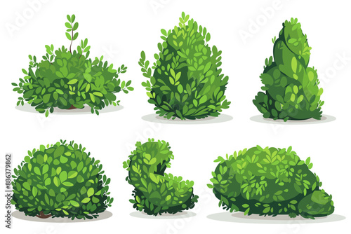 Set of decorative vector bush illustrations on a white background. Green flat bushes on white background. Green grass vector set. Shrub bush shrubbery tree simple abstract. Eco element, foliage