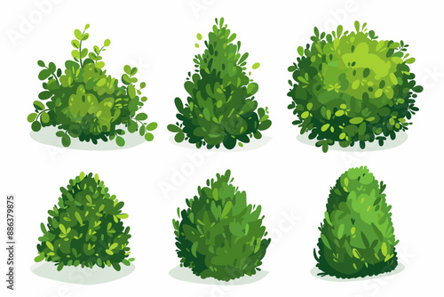 Set of decorative vector bush illustrations on a white background. Green flat bushes on white background. Green grass vector set. Shrub bush shrubbery tree simple abstract. Eco element, foliage
