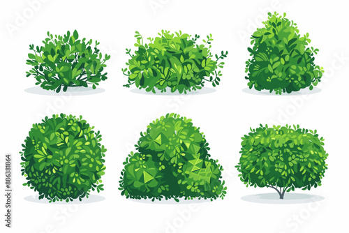 Set of decorative vector bush illustrations on a white background. Green flat bushes on white background. Green grass vector set. Shrub bush shrubbery tree simple abstract. Eco element, foliage