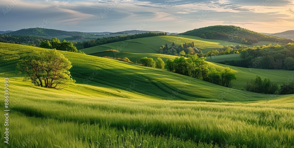 Fototapeta premium Rolling Green Hills Under a Cloudy Sky