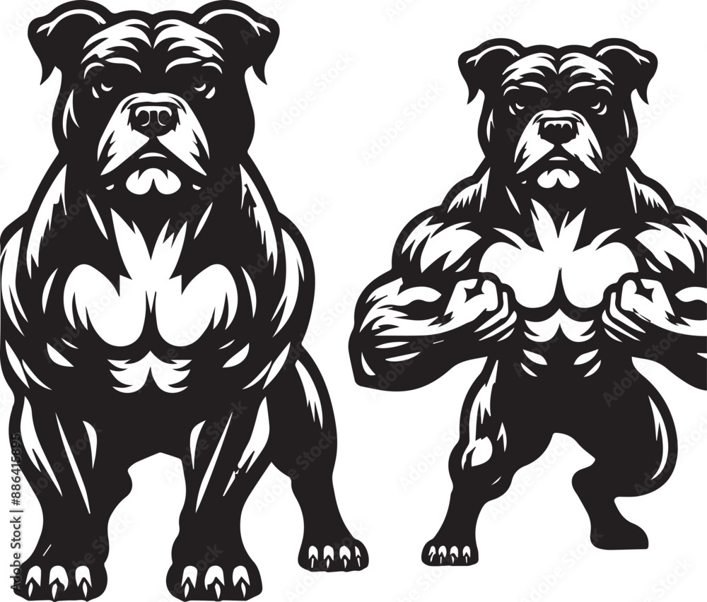 Aggressive Pitbull Vector Illustration Silhouette. Aggressive Pitbull Vector Illustration Silhouette.
