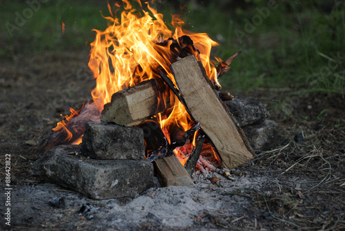 burning campfire in the evening