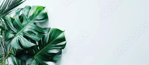 Tropical concept featuring ...