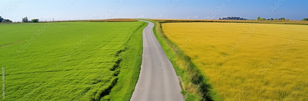 Naklejka premium Asphalt road between vibrant green and yellow fields. Aerial view of a straight road dividing agricultural land with a blue sky. Concept of travel, journey, destination, agriculture, and countryside.
