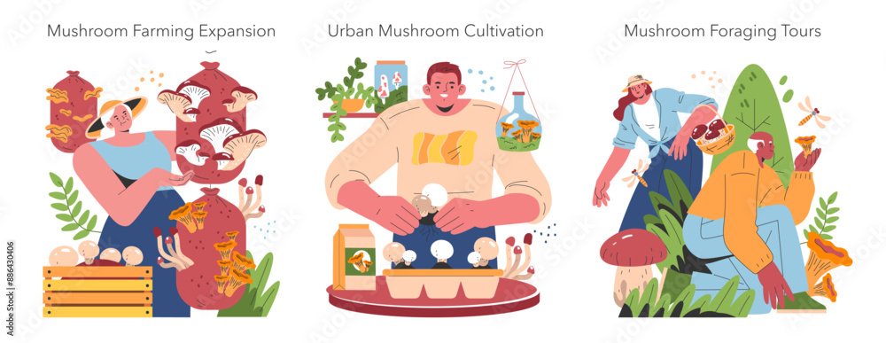 Obraz premium Mushroom Cultivation. Flat Vector Illustration