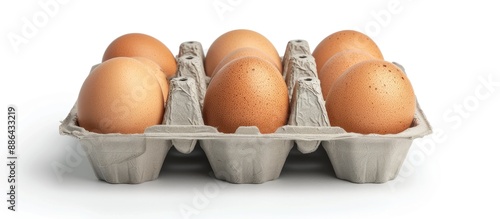 Organic egg pack in a four ...