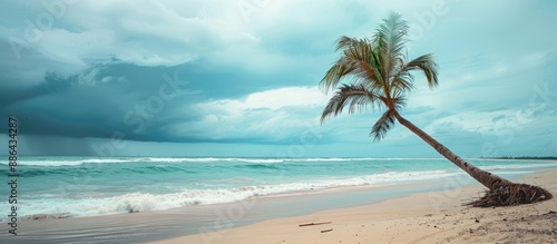 A tropical beach scene with...