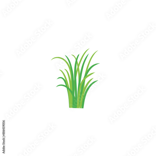 Grass doodle sketch style. Hand drawn green grass field outline scribble background. Sprout, flower, clover elements. Vector illustration.