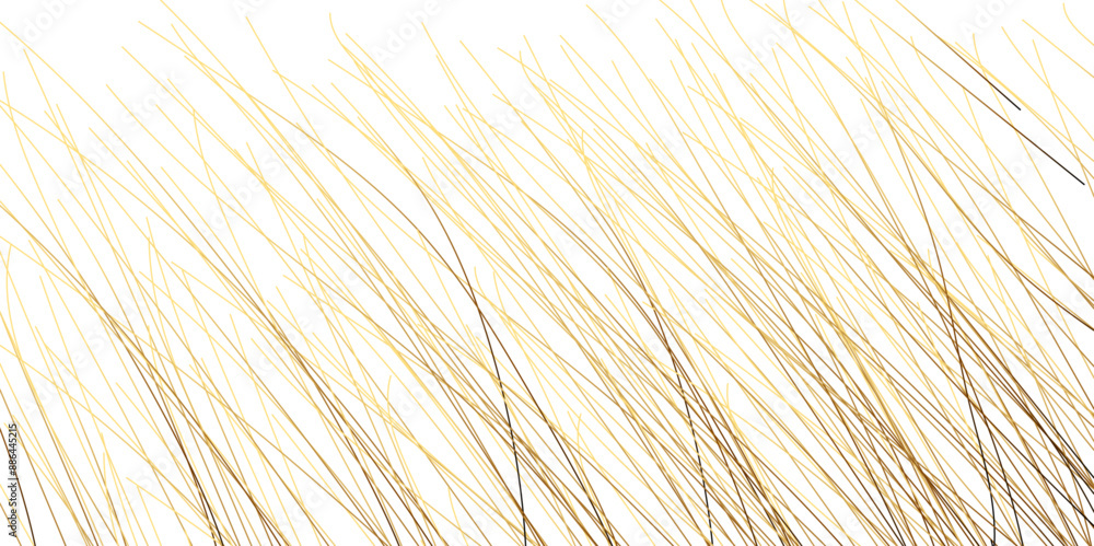 Obraz premium Abstract background with lines. Golden lines on White paper. Line wavy abstract vector background. Golden lines on White paper. Random chaotic lines abstract geometric pattern vector background. 