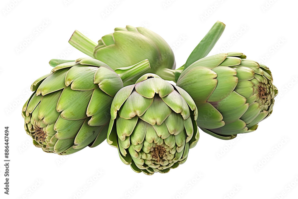 Fototapeta premium Fresh Green Artichokes Ready for Cooking in the Kitchen on a White or Clear Surface PNG Transparent Background