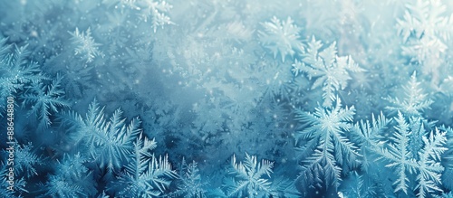 Copy space image of frost p...