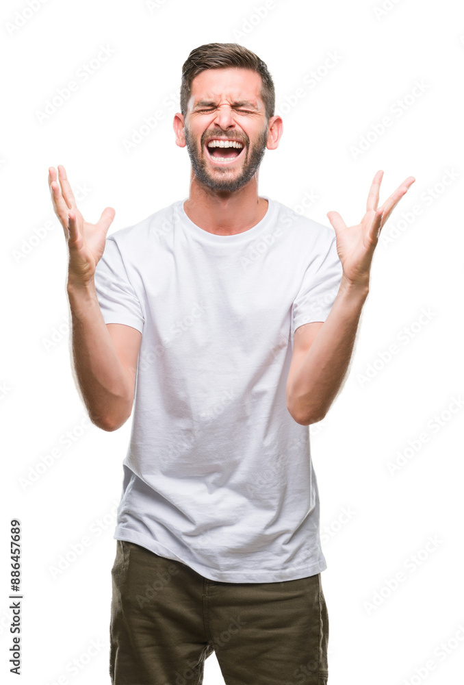 Young handsome man over isolated background celebrating mad and crazy for success with arms raised and closed eyes screaming excited. Winner concept Young handsome man over isolated background celebrating mad and crazy for success with arms raised and closed eyes screaming excited. Winner concept