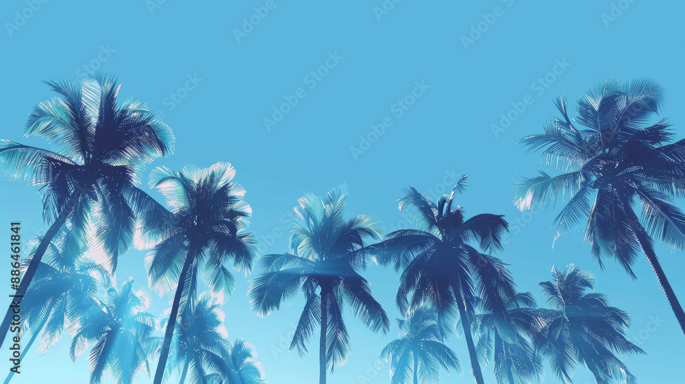 Fototapeta premium A forest with trees and a blue sky