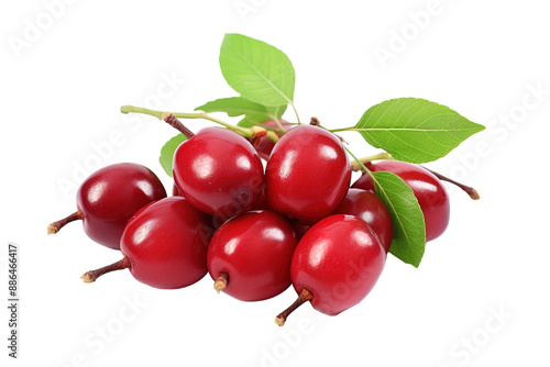 A Cluster of Ripe Cherries Glistens With Dewy Freshness on a White or Clear Surface PNG Transparent Background