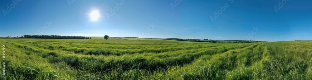 Obraz premium Expansive Green Field Under a Clear Blue Sky