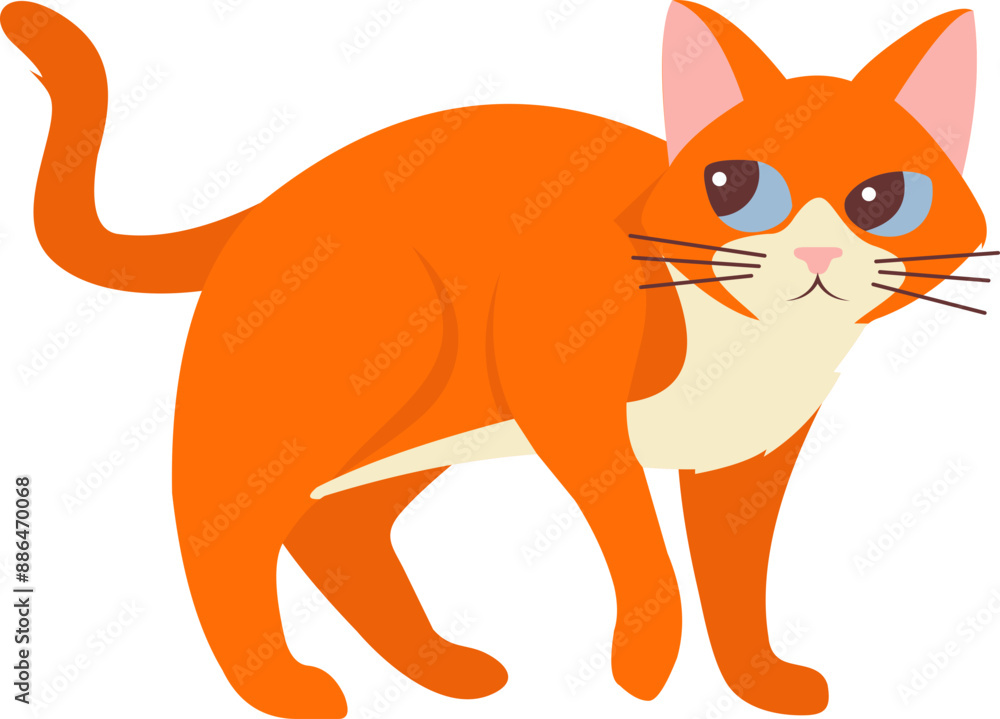 Cat Illustration Cat Illustration