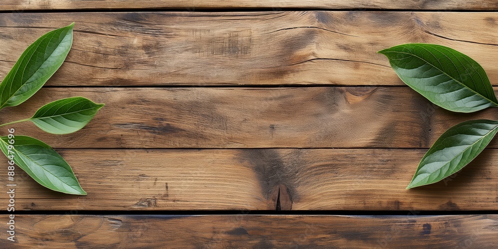 Wooden planks background with green leaves Wooden planks background with green leaves