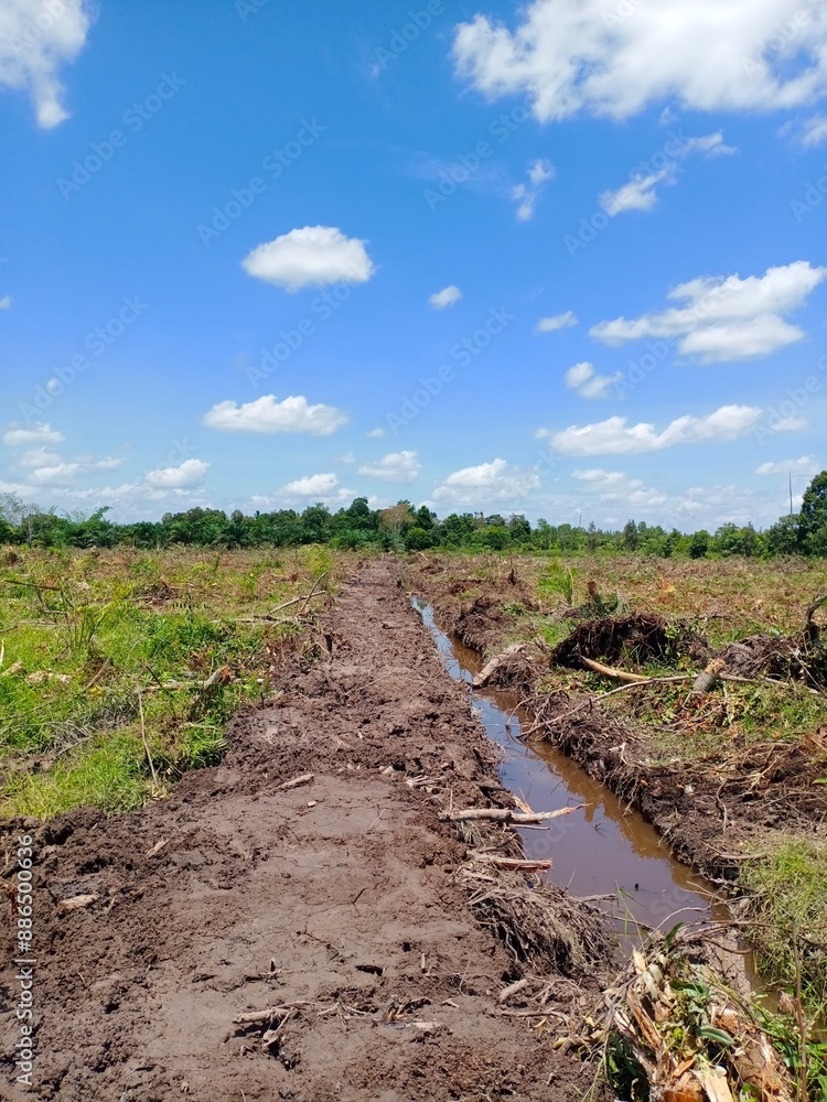 The gardening conditions were muddy because of the rain and the sky was clear and blue The gardening conditions were muddy because of the rain and the sky was clear and blue