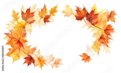 PNG Maple leaves leaf backgrounds falling.