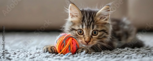 Kitten playing with a ball of yarn, illustrating playful behavior