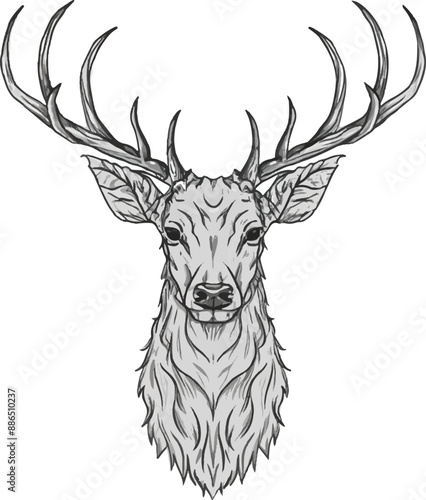 Beautiful deer head vector