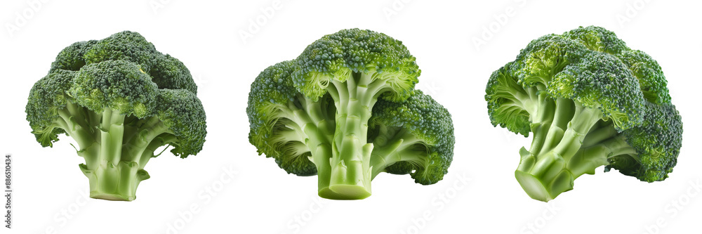 fresh broccoli isolated on transparent background fresh broccoli isolated on transparent background