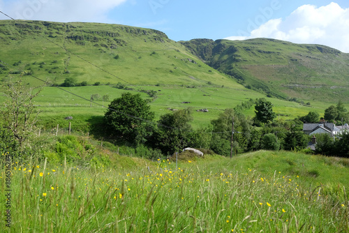 Wildflowers with Craig Blaen Y Cwm hills in the background, in the valley of Cwm Machno, Snowdonia, North Wales. photo