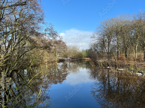 reflection of trees in water