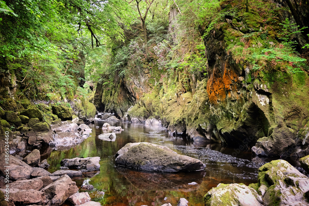 The River Conwy flows throw a steep ravine known as Fairy Glen, Betws y Coed, Snowdonia, North Wales, The River Conwy flows throw a steep ravine known as Fairy Glen, Betws y Coed, Snowdonia, North Wales,