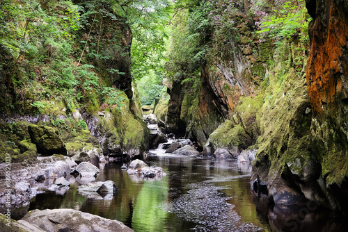 Slika na platnu The River Conwy flows throw a steep ravine known as Fairy Glen, Betws y Coed, Sn
