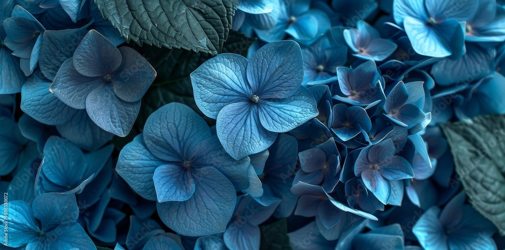 A vivid blue and purple flower background embraces nature in this botanical symphony. A close-up of purple blossoms in a park. A vivid blue and purple flower background embraces nature in this botanical symphony. A close-up of purple blossoms in a park.