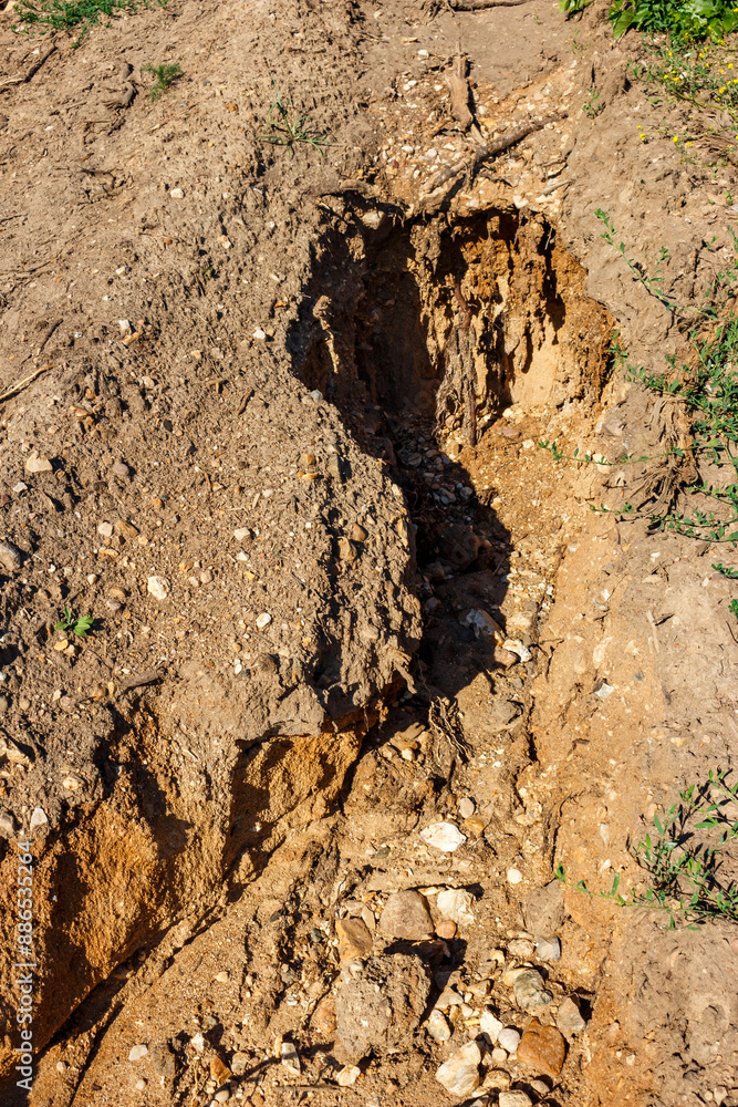 Naklejka premium Rain erosion of sandy soil on a slope
