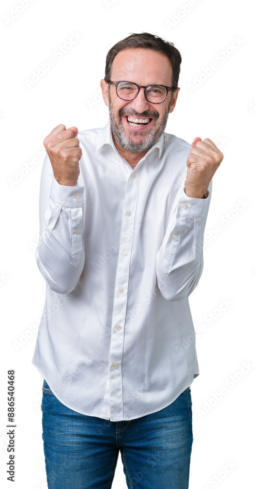 Handsome middle age elegant senior business man wearing glasses over isolated background celebrating surprised and amazed for success with arms raised and open eyes. Winner concept. Handsome middle age elegant senior business man wearing glasses over isolated background celebrating surprised and amazed for success with arms raised and open eyes. Winner concept.