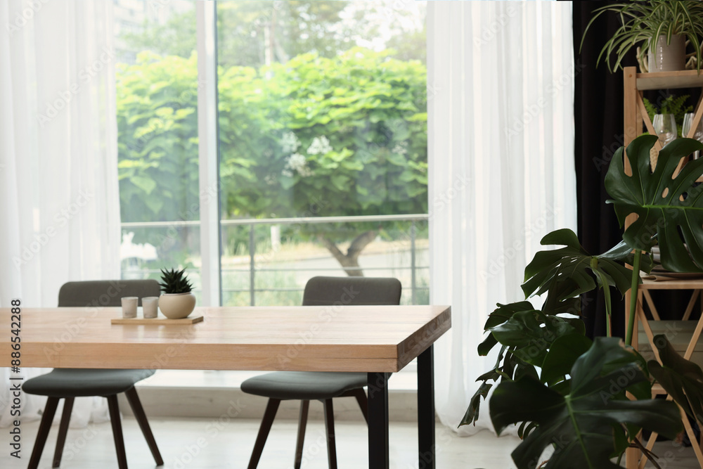 Stylish furniture, green houseplants and elegant curtain in room. Interior design Stylish furniture, green houseplants and elegant curtain in room. Interior design