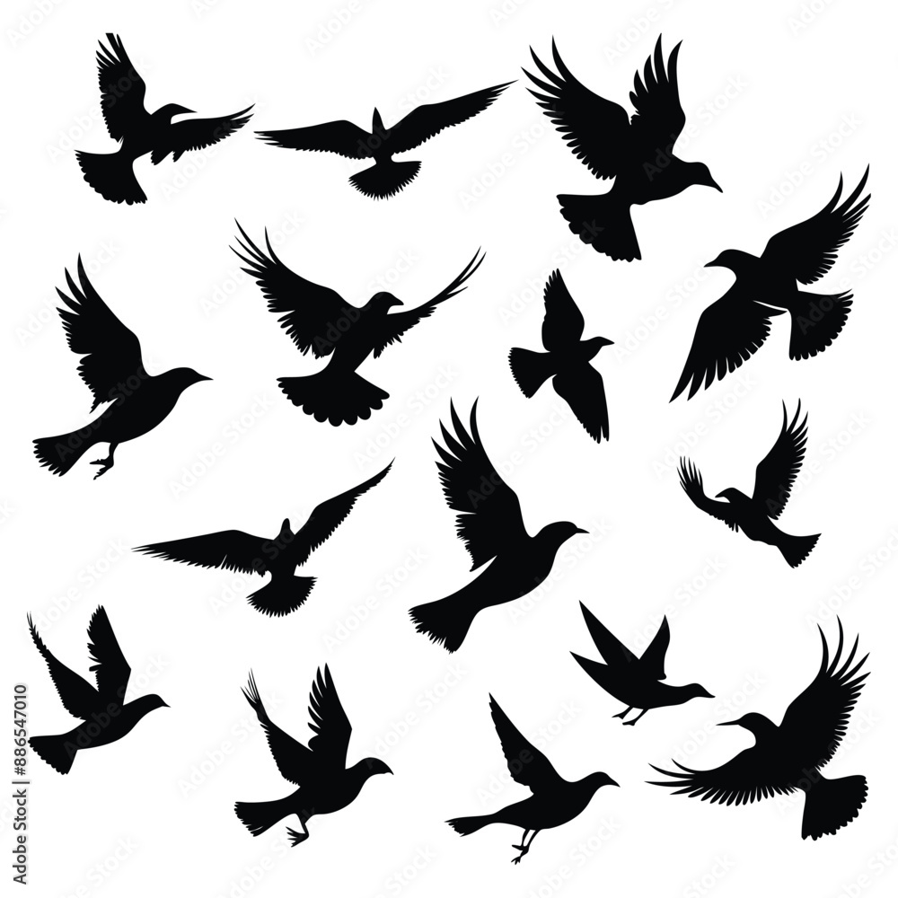 Fototapeta premium Silhouettes of wild birds in flight
