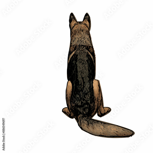 Realistic dog vector ilustration design 