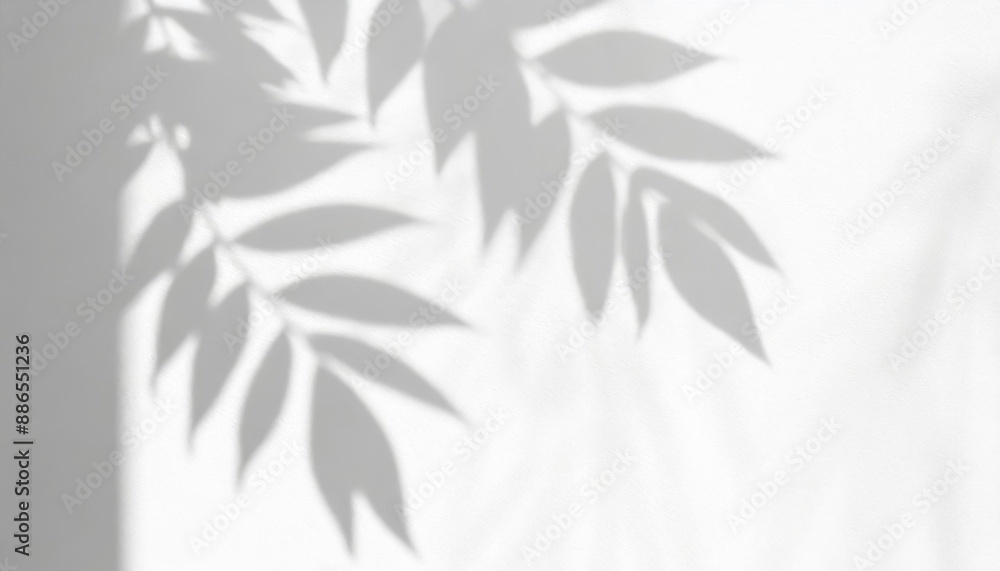 abstract shadow of leaves on a white wall overlay effect for photo mock up product wall art design presentation abstract shadow of leaves on a white wall overlay effect for photo mock up product wall art design presentation